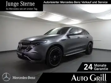 MERCEDES-BENZ EQC 400 4M (1/23)