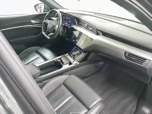 AUDI e-tron 50 S line 2xAC el.Sitz HUD 5JGar MATRX Keyless (15/21)