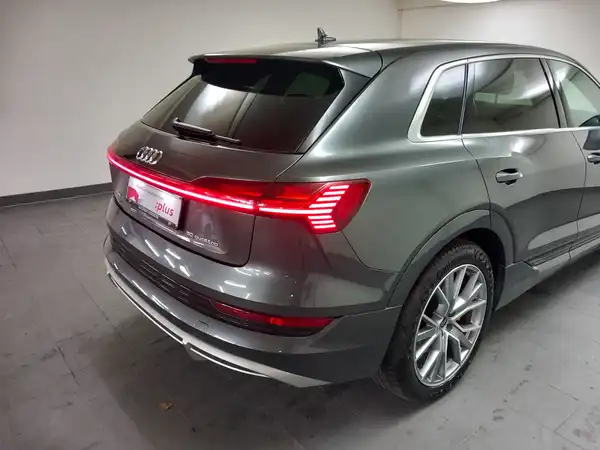 AUDI e-tron 50 S line 2xAC el.Sitz HUD 5JGar MATRX Keyless (19/21)