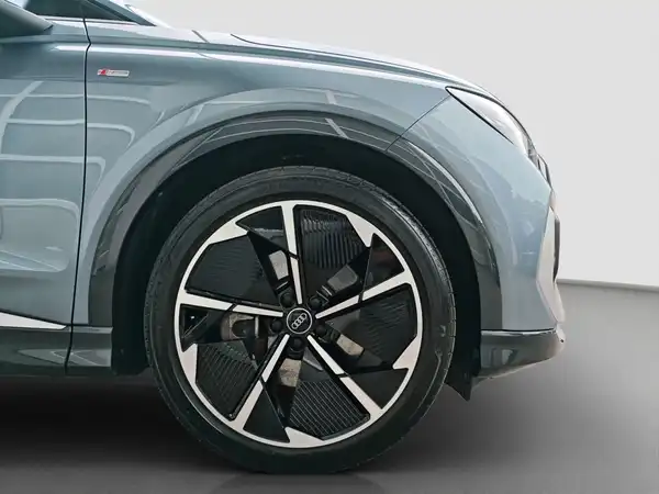 AUDI Q4 Sportback e-tron 50 qu. Assistenz+ ACC MATRIX Navi+ (17/17)
