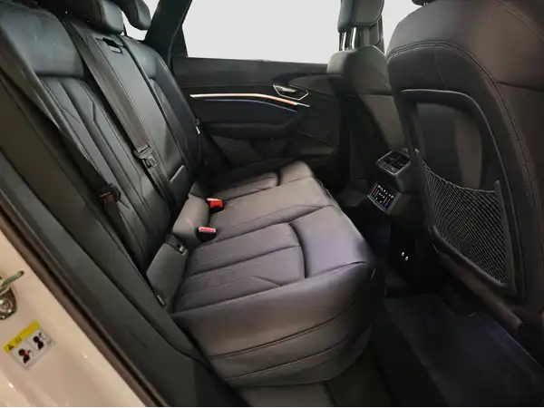 AUDI e-tron S line 55 qu MATRX Pano HUD Tech select (15/16)