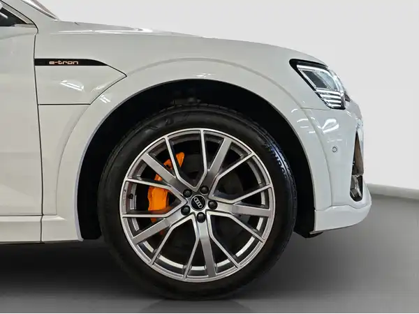 AUDI e-tron S line 55 qu MATRX Pano HUD Tech select (16/16)