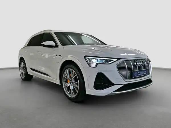 AUDI e-tron S line 55 qu MATRX Pano HUD Tech select (4/16)