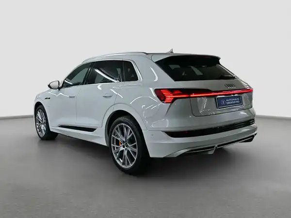 AUDI e-tron S line 55 qu MATRX Pano HUD Tech select (7/16)