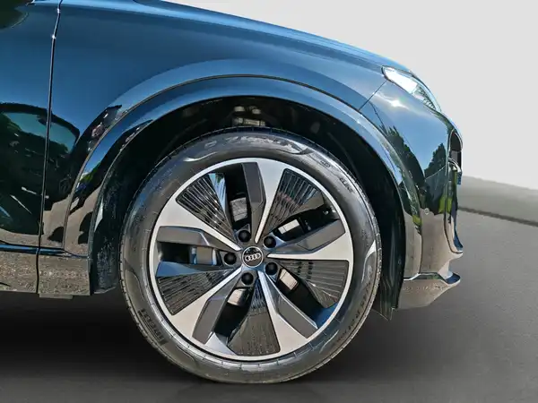 AUDI Q6 e-tron black TechPlus S line LM21 Kompaktlader (17/17)