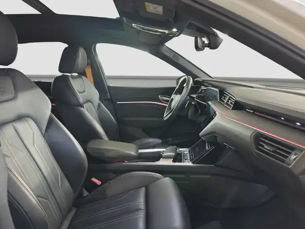 AUDI e-tron Sportback S line qu. Tour Navi+ MATRIX Pano (15/17)