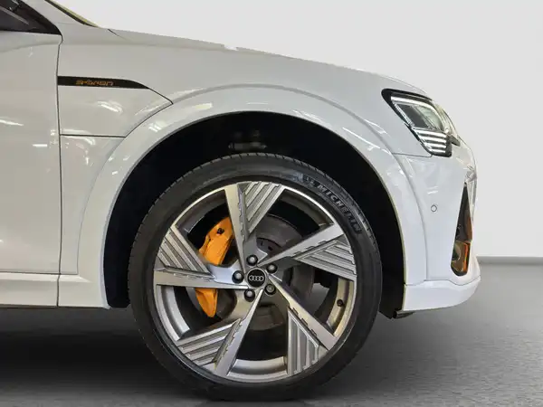 AUDI e-tron Sportback S line qu. Tour Navi+ MATRIX Pano (17/17)