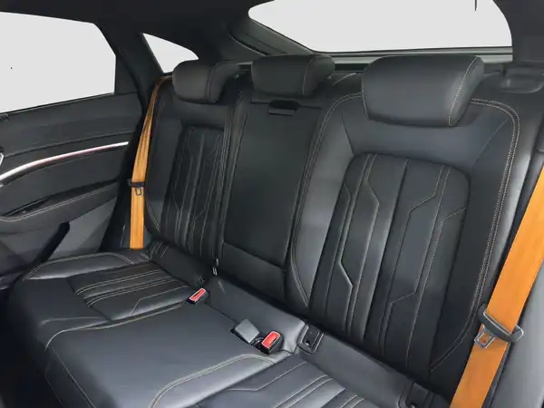 AUDI e-tron Sportback S line qu. Tour Navi+ MATRIX Pano (9/17)