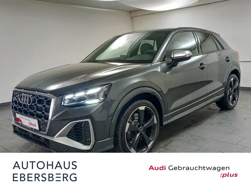 AUDI SQ2 5JGar Virtual Navi MTRX RFK PDC AHK SHZ (1/20)