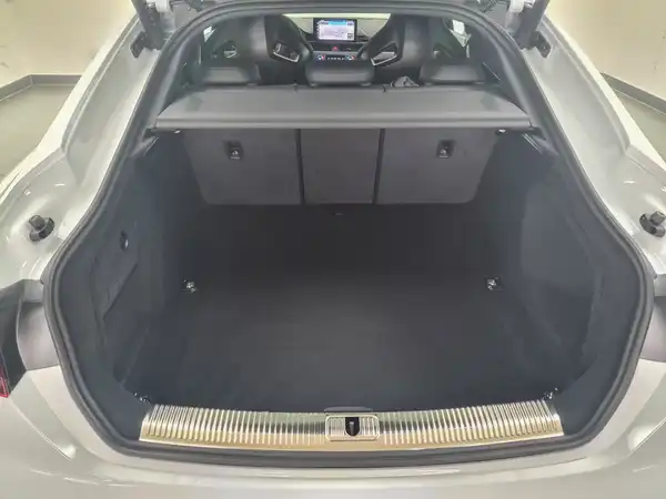 AUDI RS 5 Sportback 2.9 quattro TFSI (13/19)