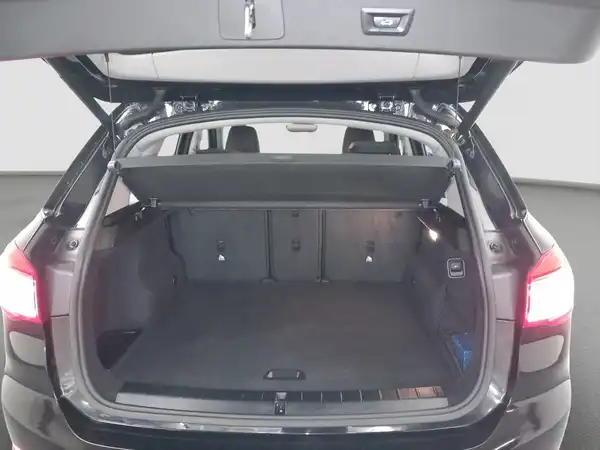 BMW X1 sDrive 18i Advantage Business Navi LED LenkHzg (13/17)