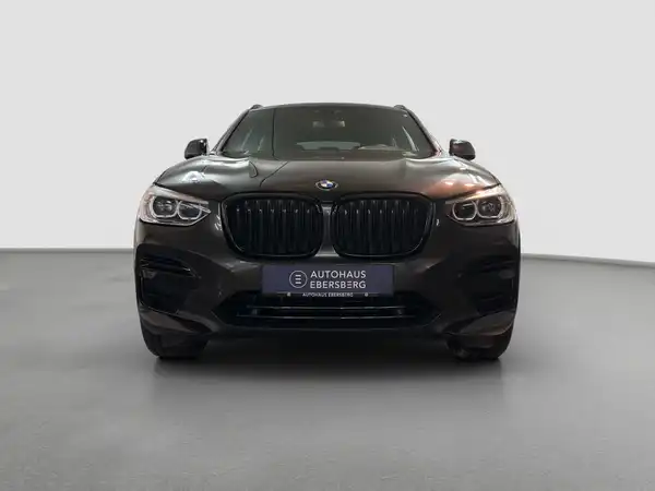 BMW X4 xDrive 30 i Advantage Business HUD Kamera (3/17)