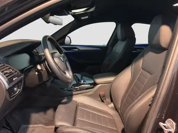 BMW X4 xDrive 30 i Advantage Business HUD Kamera (8/17)