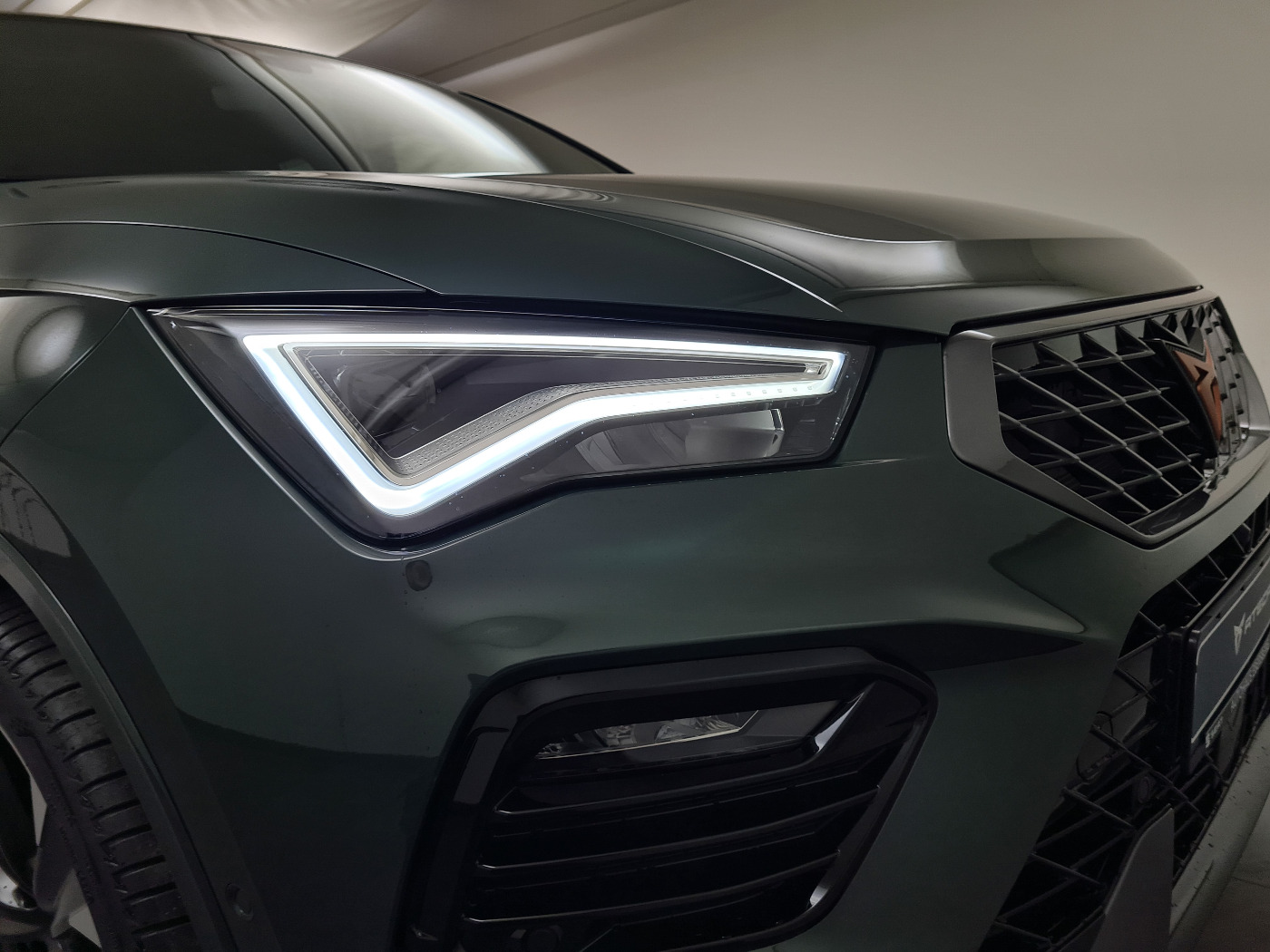 CUPRA Ateca 2.0 TSI 4Drive 221 KW (13/17)