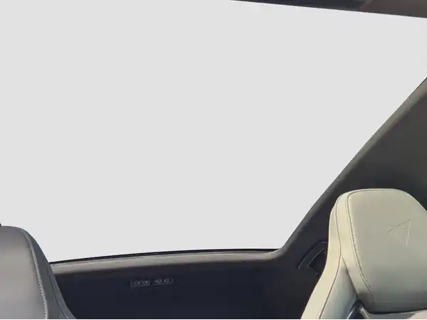 CUPRA Born VZ 240 KW 79 kWh (14/17)