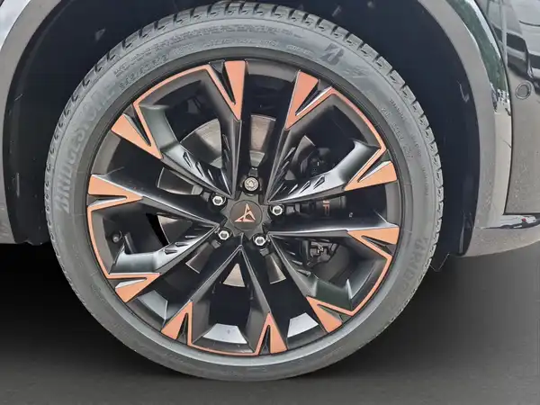 CUPRA Formentor 2.0 TSI VZ 195 KW (17/17)