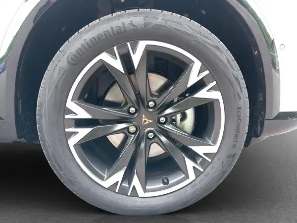 CUPRA Formentor 2.0 TDI DSG (15/15)
