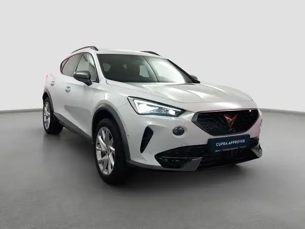CUPRA Formentor 1.5 TSI Park-Lenk el.Heck LED Virtual Spur (4/17)