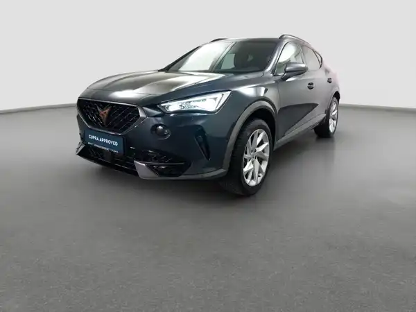 CUPRA Formentor 2.0 TSI Kamera LED Virtual App Assist Allwetter (2/16)