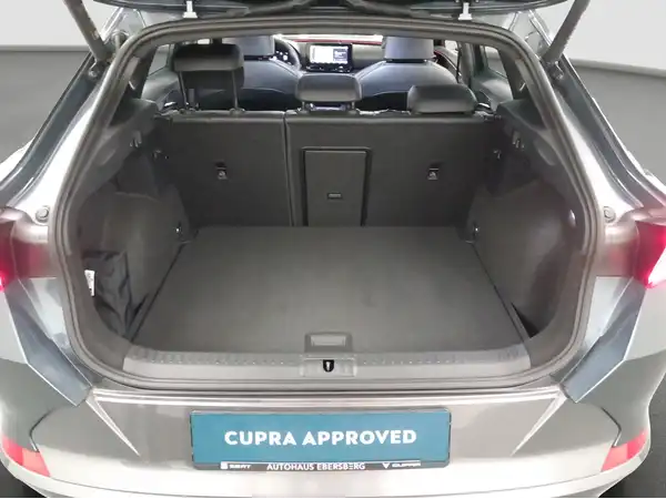 CUPRA Formentor 2.0 TSI Kamera LED Virtual App Assist Allwetter (13/16)
