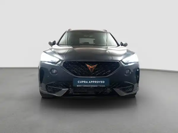 CUPRA Formentor 2.0 TSI Kamera LED Virtual App Assist Allwetter (3/16)