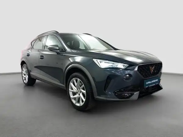 CUPRA Formentor 2.0 TSI Kamera LED Virtual App Assist Allwetter (4/16)