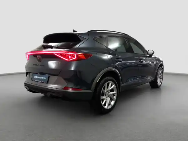 CUPRA Formentor 2.0 TSI Kamera LED Virtual App Assist Allwetter (5/16)