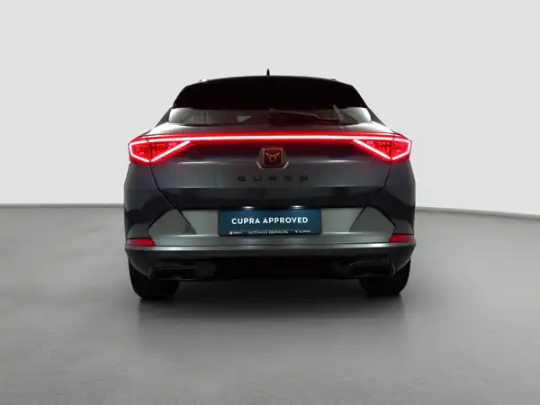 CUPRA Formentor 2.0 TSI Kamera LED Virtual App Assist Allwetter (6/16)