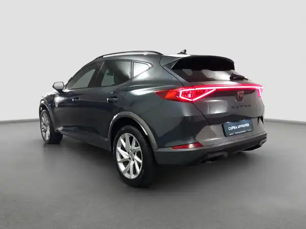 CUPRA Formentor 2.0 TSI Kamera LED Virtual App Assist Allwetter (7/16)