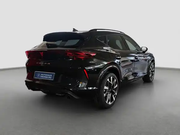 CUPRA Formentor VZ 195 KW DSG (5/16)
