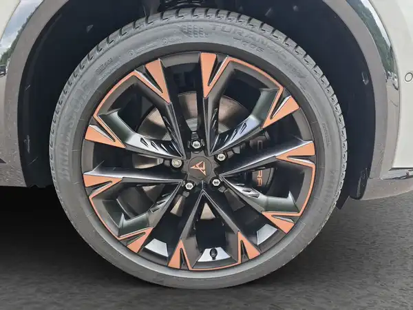 CUPRA Formentor 2.0 TSI VZ 195 KW (17/17)