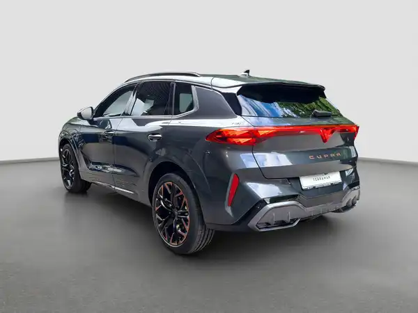 CUPRA Terramar 2.0 TSI VZ 195 KW 4Drive (7/17)