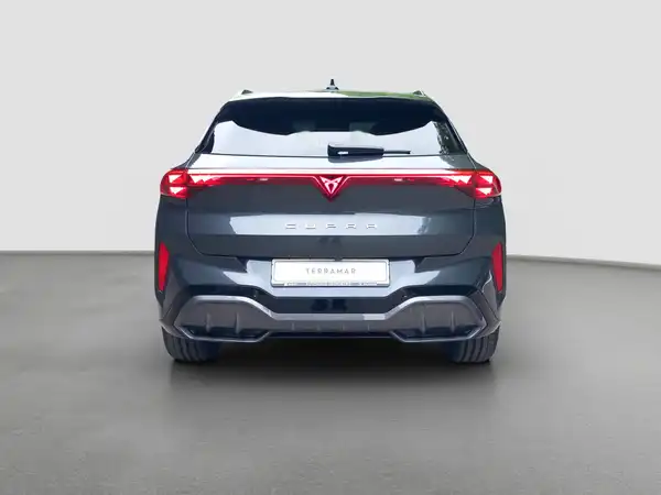 CUPRA Terramar 2.0 TSI 4Drive W VZ (5/15)