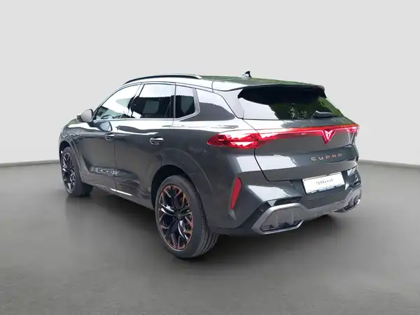 CUPRA Terramar 2.0 TSI 4Drive W VZ (6/15)