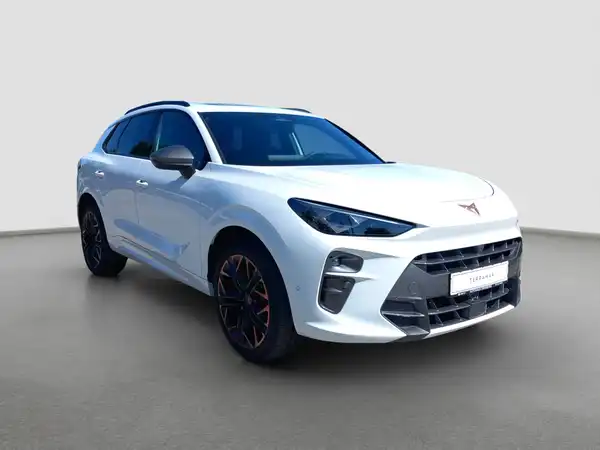 CUPRA Terramar 2.0 TSI 4Drive VZ (3/16)