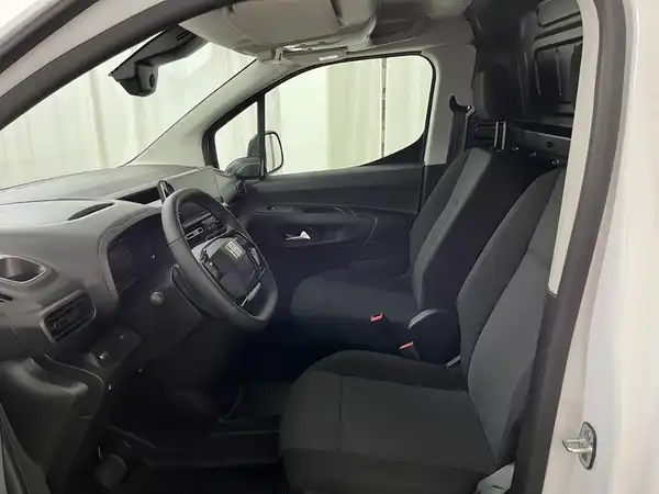 FIAT Doblo L2 Heavy Automatik (7/19)