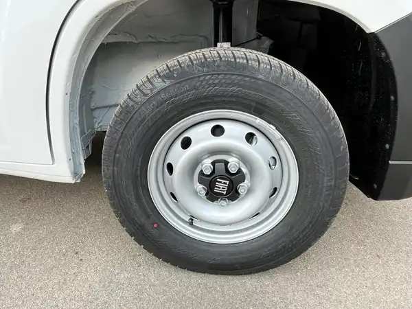 FIAT Ducato 35 L3H2 (19/19)