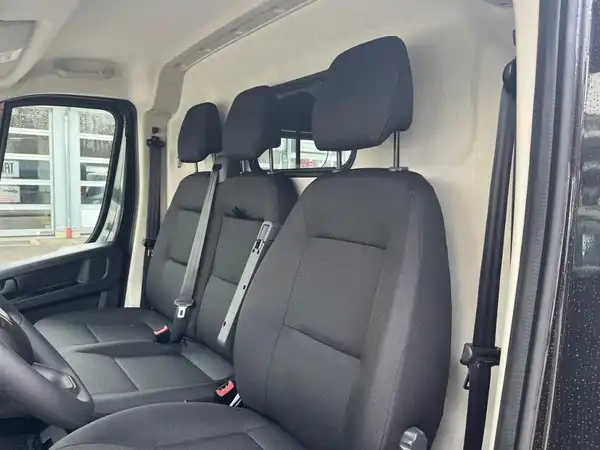 FIAT Ducato 33 L2H2 (9/20)