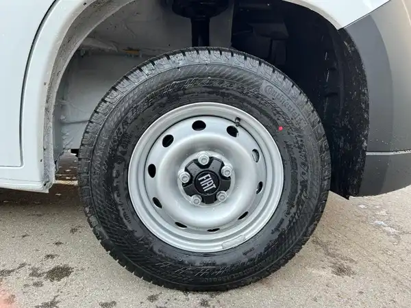 FIAT Ducato 30 L2H2 (19/19)