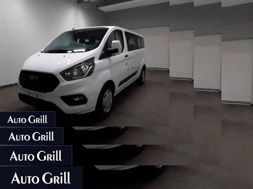 FORD Transit Custom (1/16)