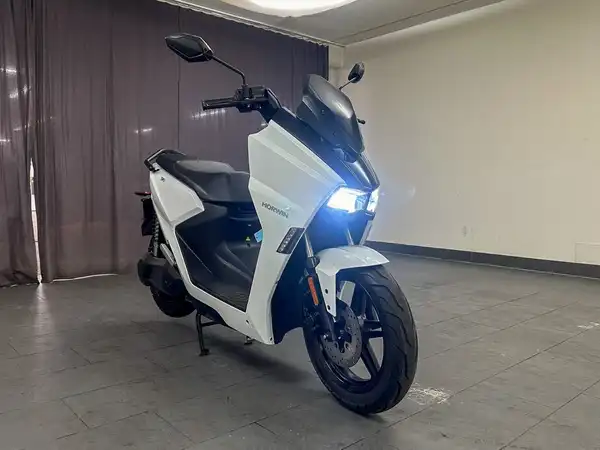 HORWIN SK1 Pearl White E-Roller (3/9)