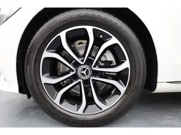 MERCEDES-BENZ C 220 d T (24/24)