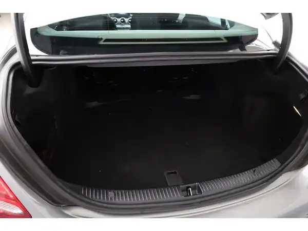 MERCEDES-BENZ C 220 BlueTEC (17/17)