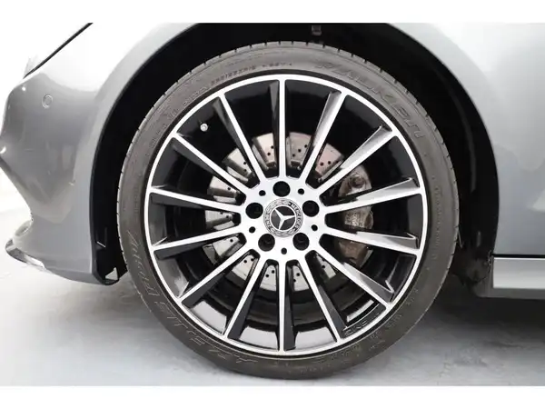 MERCEDES-BENZ CLS 350 d SB 4M (24/24)