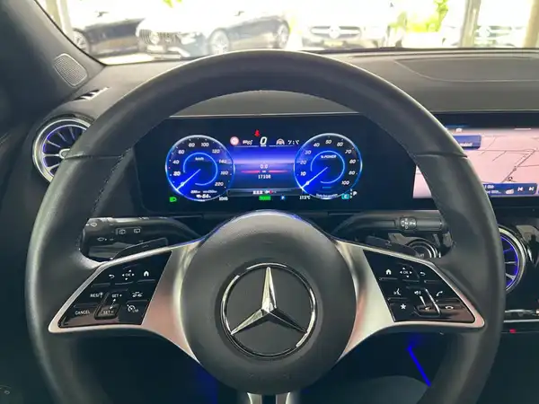 MERCEDES-BENZ EQA 300 4M (21/25)