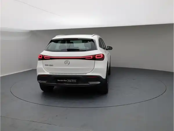 MERCEDES-BENZ EQA 250 (4/25)