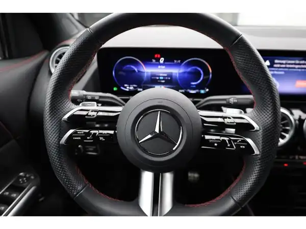 MERCEDES-BENZ EQA 300 4M (14/25)
