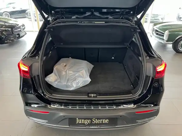 MERCEDES-BENZ EQA 300 4M (13/25)