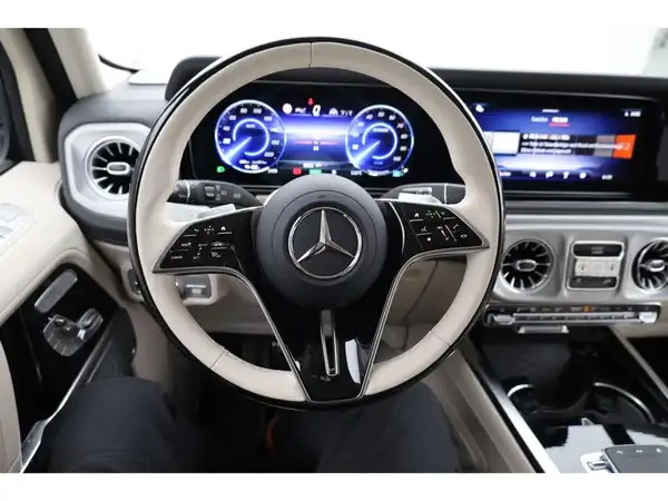 MERCEDES-BENZ G 580 EQ (13/25)