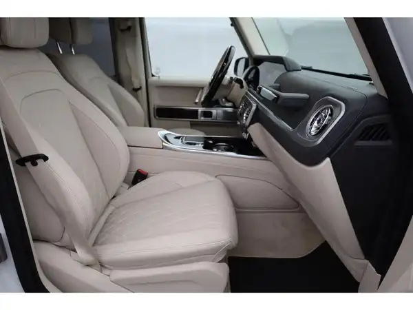 MERCEDES-BENZ G 580 EQ (19/25)